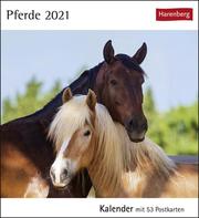 Pferde Kalender 2021