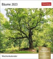 Bäume 2023