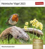 Heimische Vögel 2023 - Cover