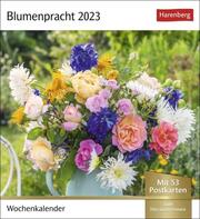 Blumenpracht 2023