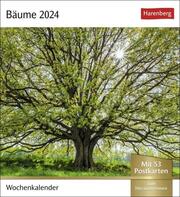 Bäume Postkartenkalender 2024