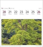 Bäume Postkartenkalender 2024 - Abbildung 1