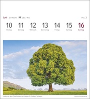Bäume Postkartenkalender 2024 - Abbildung 5