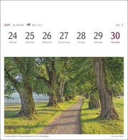Bäume Postkartenkalender 2024 - Abbildung 7