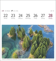 Bäume Postkartenkalender 2024 - Abbildung 11