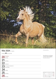Pferde Wochenplaner 2024 - Abbildung 1