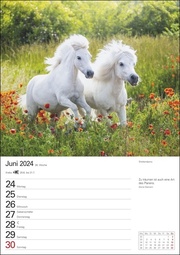 Pferde Wochenplaner 2024 - Abbildung 7