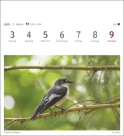 Heimische Vögel Postkartenkalender 2024 - Abbildung 4
