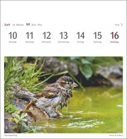 Heimische Vögel Postkartenkalender 2024 - Abbildung 5