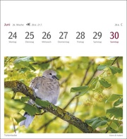 Heimische Vögel Postkartenkalender 2024 - Abbildung 7