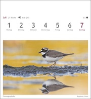 Heimische Vögel Postkartenkalender 2024 - Abbildung 8