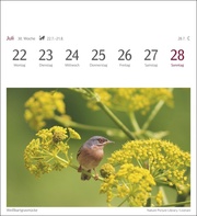 Heimische Vögel Postkartenkalender 2024 - Abbildung 11