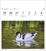 Heimische Vögel Postkartenkalender 2024 - Abbildung 12