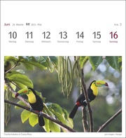 Farben der Natur Postkartenkalender 2024 - Abbildung 5