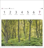 Farben der Natur Postkartenkalender 2024 - Illustrationen 8