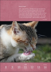 Literaturkalender Katzen 2024 - Abbildung 2