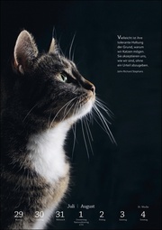 Literaturkalender Katzen 2024 - Abbildung 5