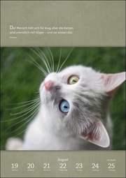 Literaturkalender Katzen 2024 - Abbildung 8