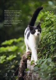Literaturkalender Katzen 2024 - Abbildung 10