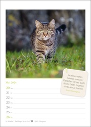 Katzenglück Wochenkalender 2024 - Abbildung 1