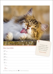 Katzenglück Wochenkalender 2024 - Abbildung 2
