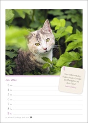 Katzenglück Wochenkalender 2024 - Abbildung 3