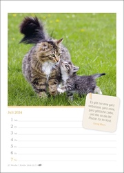 Katzenglück Wochenkalender 2024 - Abbildung 7