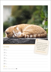 Katzenglück Wochenkalender 2024 - Abbildung 9