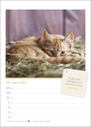 Katzenglück Wochenkalender 2024 - Abbildung 11