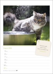 Katzenglück Wochenkalender 2024 - Abbildung 12