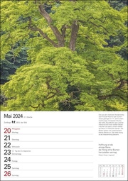 Bäume Wochenplaner 2024 - Abbildung 1