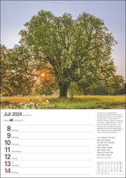 Bäume Wochenplaner 2024 - Abbildung 9