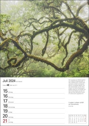 Bäume Wochenplaner 2024 - Abbildung 10