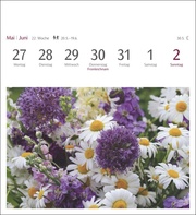 Blumenpracht Postkartenkalender 2024 - Abbildung 3