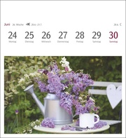Blumenpracht Postkartenkalender 2024 - Abbildung 7