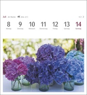 Blumenpracht Postkartenkalender 2024 - Abbildung 9