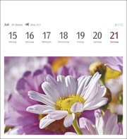 Blumenpracht Postkartenkalender 2024 - Abbildung 10