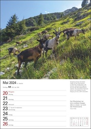 Südtirol Wochenplaner 2024 - Abbildung 1