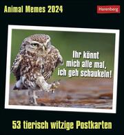 Animal Memes Postkartenkalender 2024