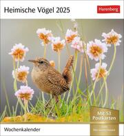 Heimische Vögel Postkartenkalender 2025 - Wochenkalender mit 53 Postkarten