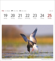 Heimische Vögel Postkartenkalender 2025 - Abbildung 1