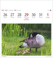 Heimische Vögel Postkartenkalender 2025 - Wochenkalender mit 53 Postkarten - Abbildung 3