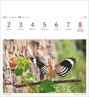 Heimische Vögel Postkartenkalender 2025 - Wochenkalender mit 53 Postkarten - Abbildung 4
