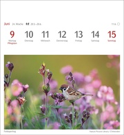 Heimische Vögel Postkartenkalender 2025 - Abbildung 5