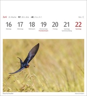 Heimische Vögel Postkartenkalender 2025 - Abbildung 6