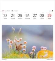 Heimische Vögel Postkartenkalender 2025 - Wochenkalender mit 53 Postkarten - Abbildung 7