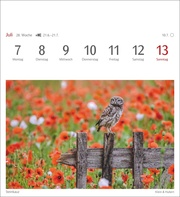 Heimische Vögel Postkartenkalender 2025 - Wochenkalender mit 53 Postkarten - Abbildung 9