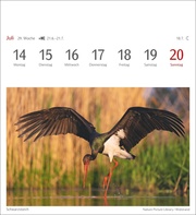 Heimische Vögel Postkartenkalender 2025 - Wochenkalender mit 53 Postkarten - Abbildung 10