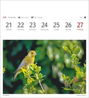 Heimische Vögel Postkartenkalender 2025 - Wochenkalender mit 53 Postkarten - Abbildung 11