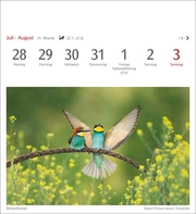 Heimische Vögel Postkartenkalender 2025 - Wochenkalender mit 53 Postkarten - Abbildung 12